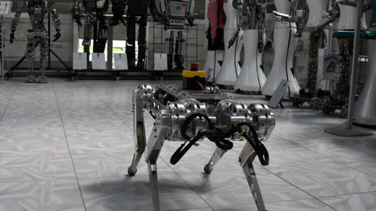 Dört Ayaklı Yerli Robot, Tehlikeli İşlerin Üstesinden Gelecek